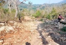 మాకు రోడ్లు వేయండి మహా ప్రభో…!